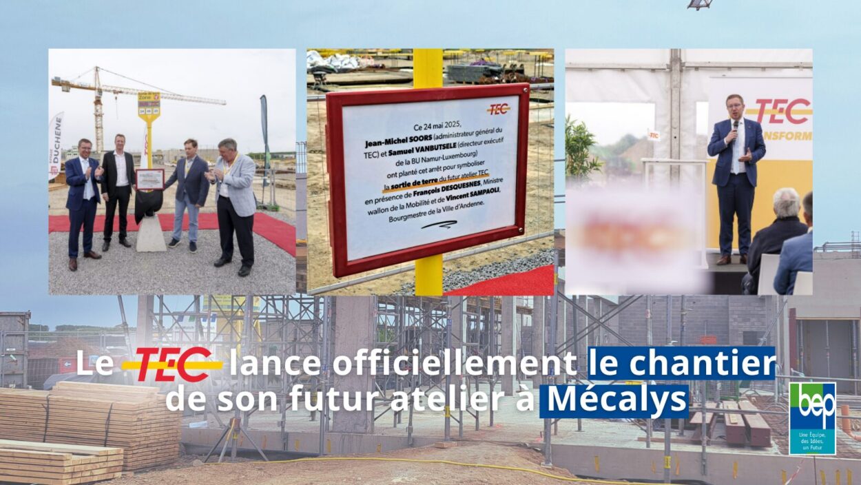 Tec mecalys Tec mecalys